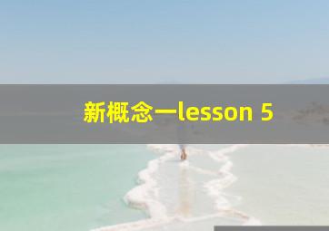 新概念一lesson 5